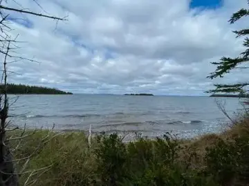 Land