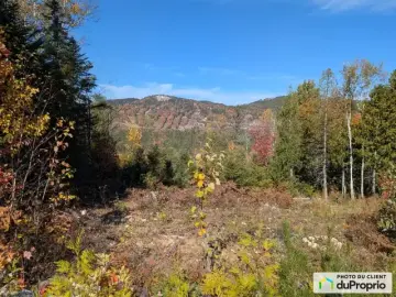 Land