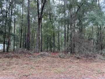 Land with 10018 sqft