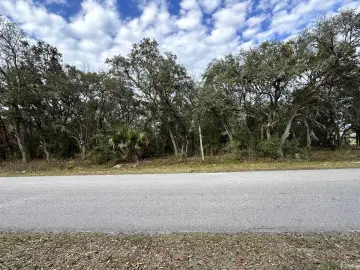 Land with 43995 sqft