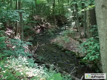 Land