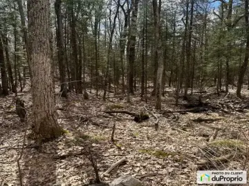 Land