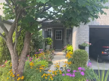 Detached House with x Bedrooms, x Bathrooms