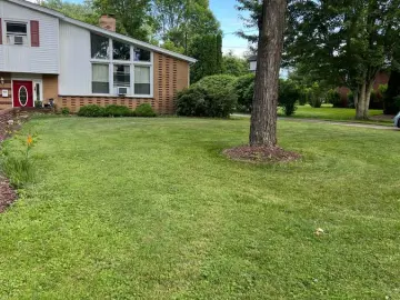 Detached House with xxxx sqft, x Bedrooms, x Bathroom
