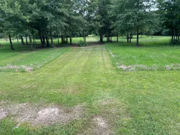 Land with x sqft