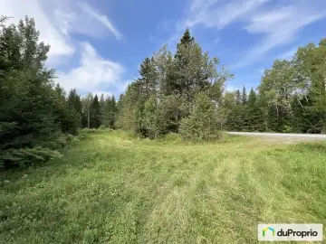 Land