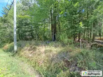 Land
