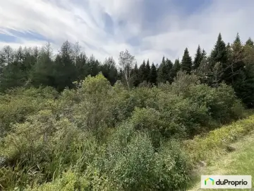 Land