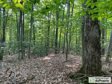 Land