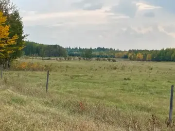 Land
