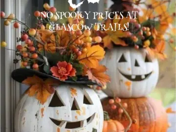 Detached House with 2016 sqft, 4 Bedrooms, 2 Bathroom