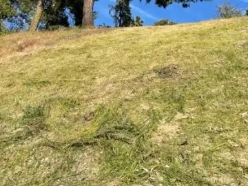 Detached House with 7000 sqft