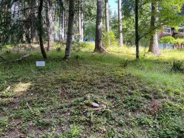 Detached House with 6500 sqft