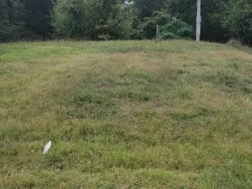 Land with ***** sqft