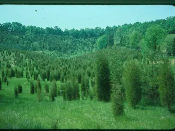 Land with 1300000 sqft