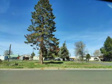 Detached House with 5000 sqft