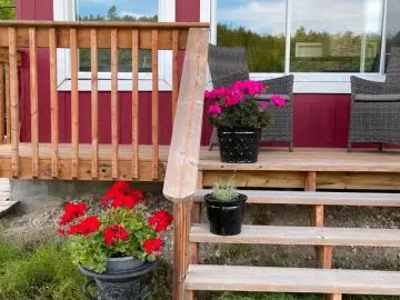 Detached House with **** sqft, * Bedrooms, * Bathroom