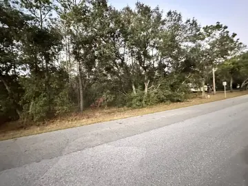 Land with 44866 sqft