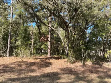 Land with 11761 sqft