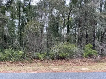 Land with 10018 sqft