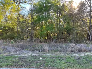 Land with 10018 sqft