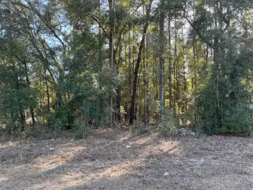 Land with 11325 sqft